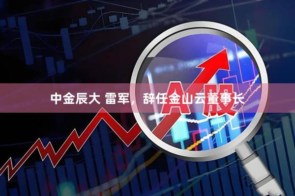 中金辰大 雷军，辞任金山云董事长